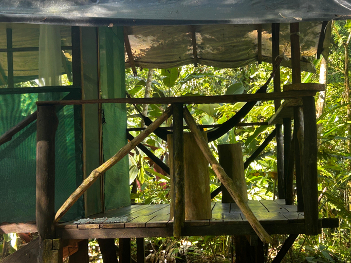 Others 4, Rio Agujitas Eco Farm Hostel And Tours, Osa