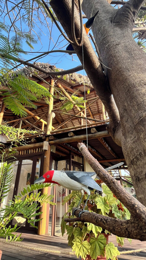 Exterior & Views 2, Lar Riviera, Amontada