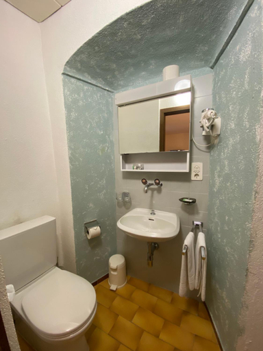 Bathroom 5, Antico studio room, Locarno
