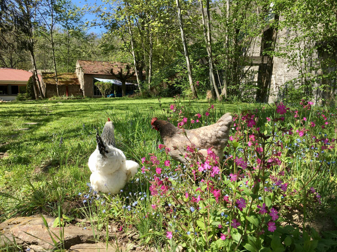 Others 2, Chambres d’hotes sur une ile, Allier