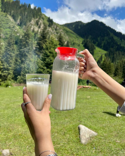 Food & Drinks 5, Zhyluu Suu Karakol Resort, Ak-Suu