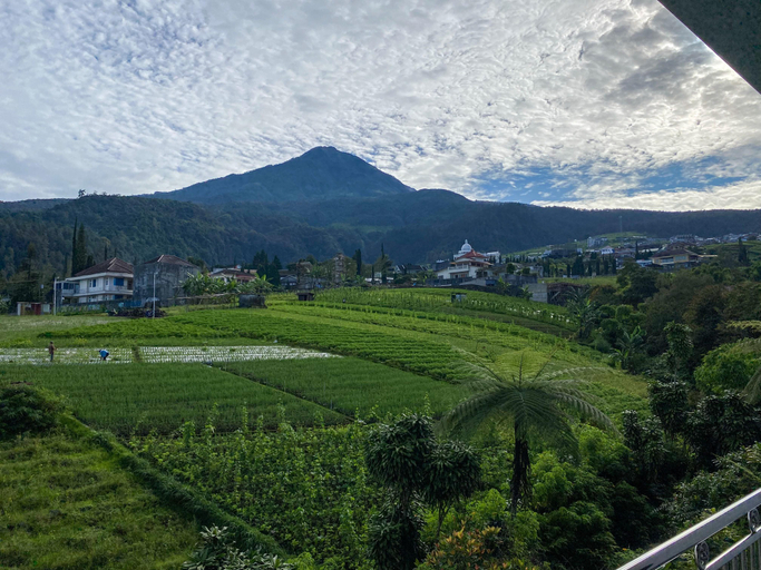 Scenery 19