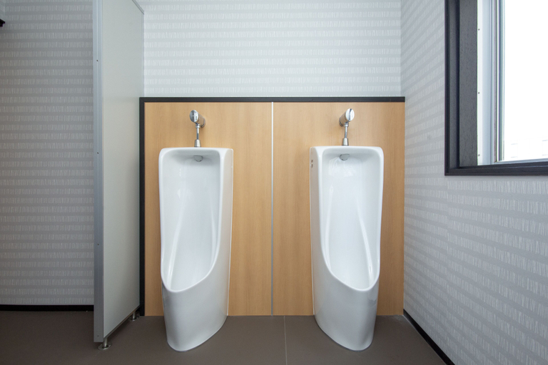 Bathroom 3, The RYOKAN O , Nakatsugawa