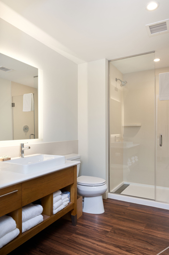 Bathroom 3, Element by Marriott Chattanooga East, Hamilton
