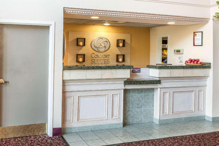 Public Area 3, Comfort Suites Fort Wayne - Southwest, Allen