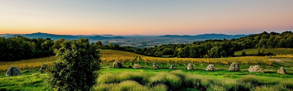 Valdonica Winery - Chill in Nature Lodge, Grosseto