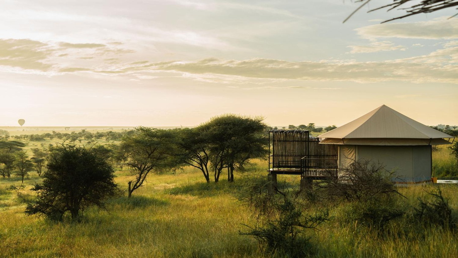 Others 5, Salinero Serengeti, Serengeti