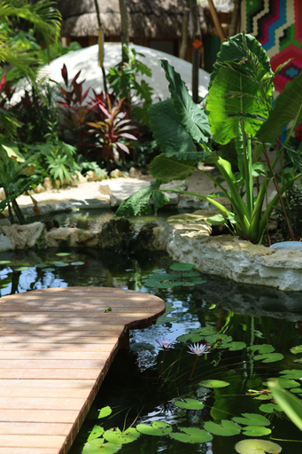 Sport & Beauty 2, Huaya Camp, Cozumel