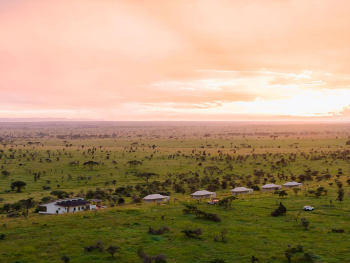 Others 4, Salinero Serengeti, Serengeti