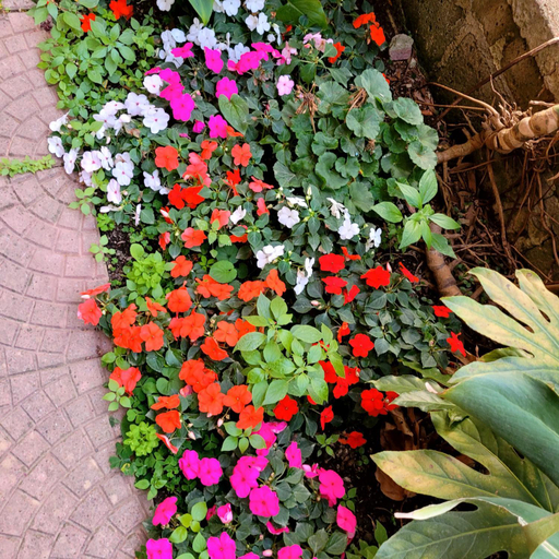 Others 4, Casa Anselmo Guest House, Salerno