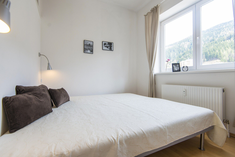 Others 3, Apartment in Bad Gastein Near Ski Slopes, Sankt Johann im Pongau