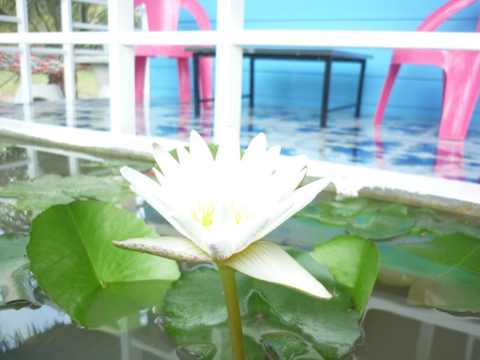 Sport & Beauty, Maneemudjalin Resorts Farm Stay, K. Sam Roi Yot