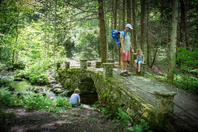 Room 5, Cove Creek Overlook, Sevier