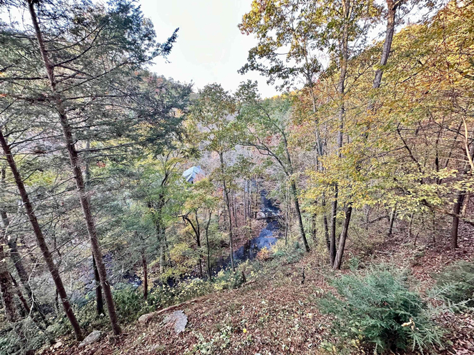 Room 2, Cove Creek Overlook, Sevier