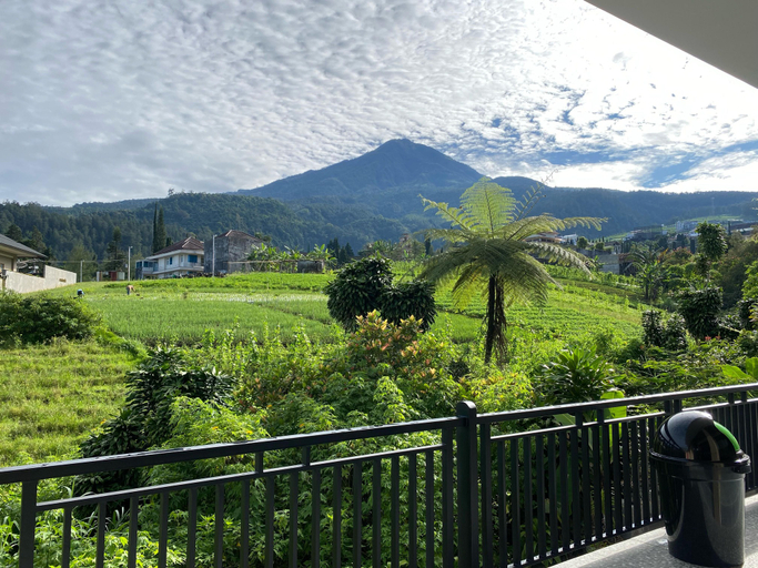 Scenery 20
