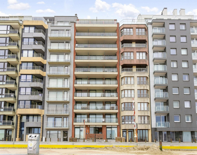 Primary image