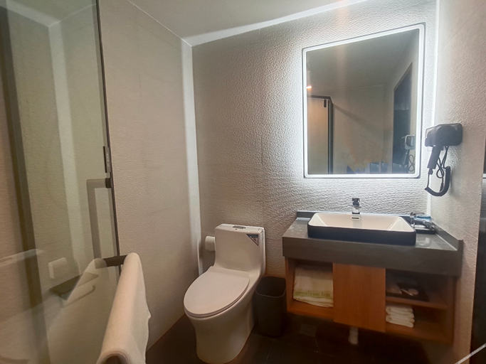 Bathroom 3, Hotel Green Tree Inn (Gaobeidian Baigou Youyi Road), Baoding