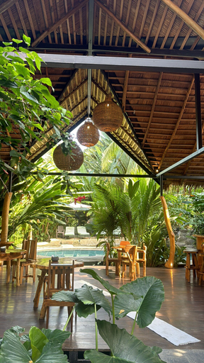 Food & Drinks 5, Conga Boutique Hotel, Talamanca