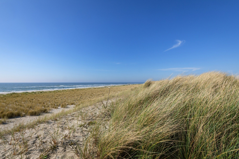 View from property 2, Bungalow in North Holland by the Coast, Zijpe