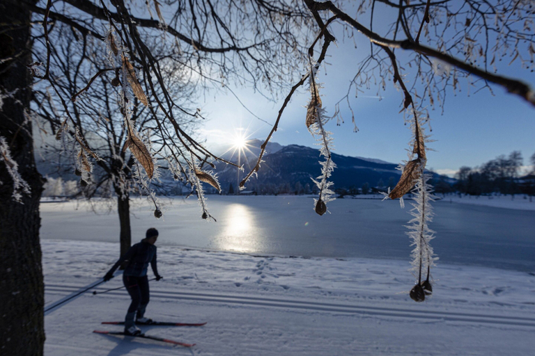 Snow and ski sports, Superior Ferienhaus # 3A mit Sauna, Zell am See