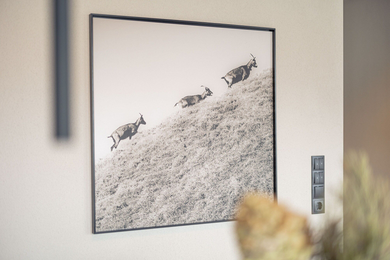 Others 4, Apartment near Alpenrosenbahn ski lift, Kitzbühel