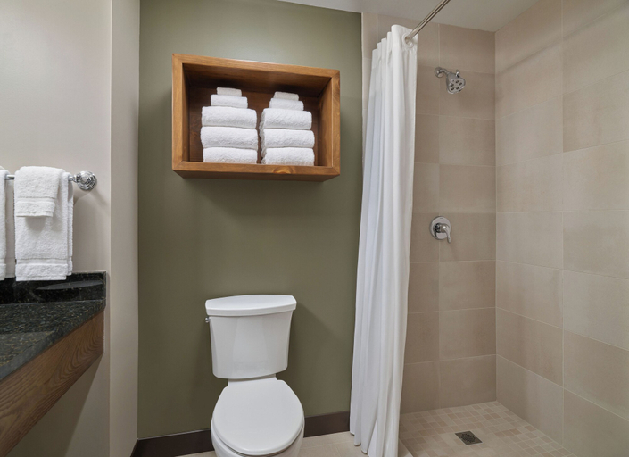Bathroom 3, Great Wolf Lodge Webster, Houston
