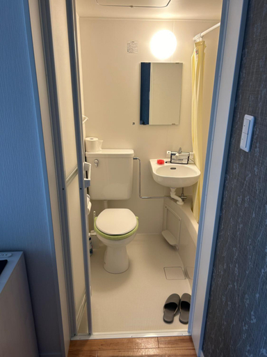 Bathroom 3, ハーモニー地下鉄幌平橋駅徒歩6分市電行啓通駅2分, Sapporo