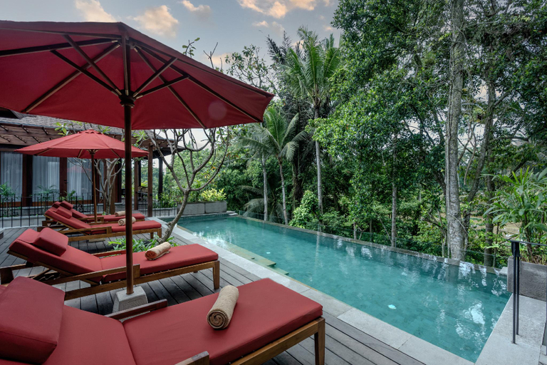 Swimming Pool 3