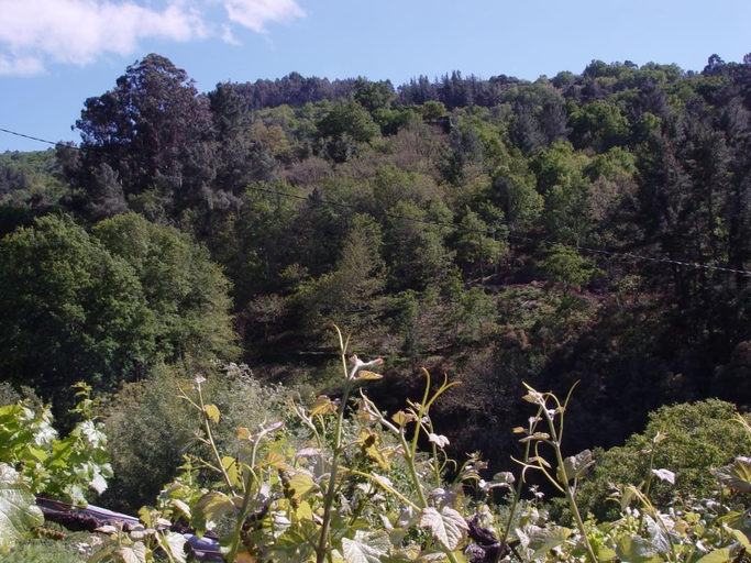 Others 5, Casa en Vinoas (Ribeira Sacra), Ourense