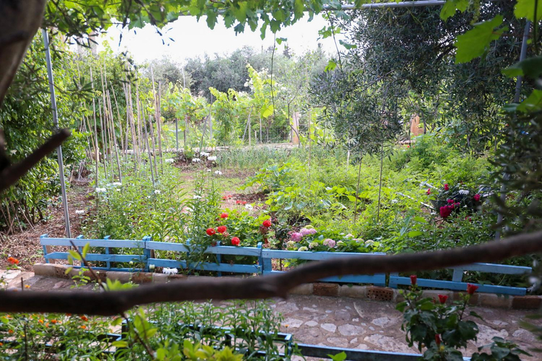 Others 2, Holiwood, Vlorës