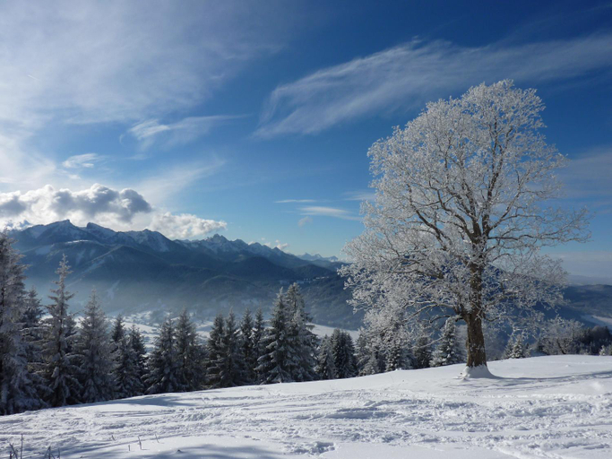 Others 4, St Lukas Apartments, Garmisch-Partenkirchen