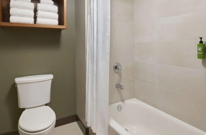 Bathroom 3, Great Wolf Lodge Naples, Collier