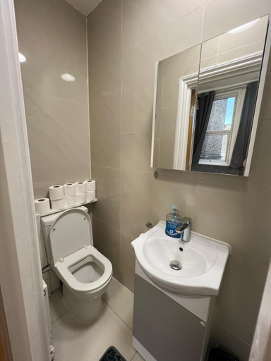 Bathroom 2, World Hotel, London
