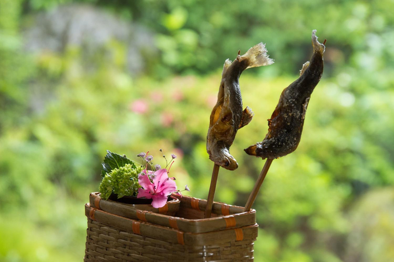 Food & Drinks 5, Yathusankan Over 6 years old, Non Smoking, Hida