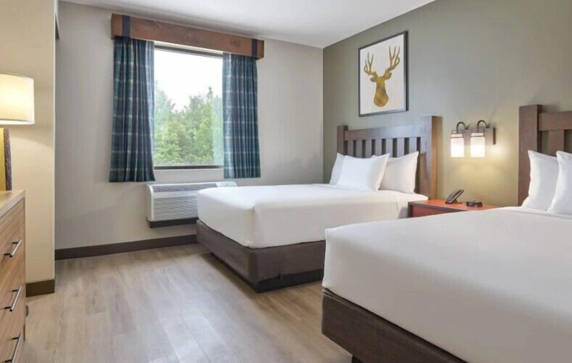 Bedroom 2, Great Wolf Lodge Naples, Collier