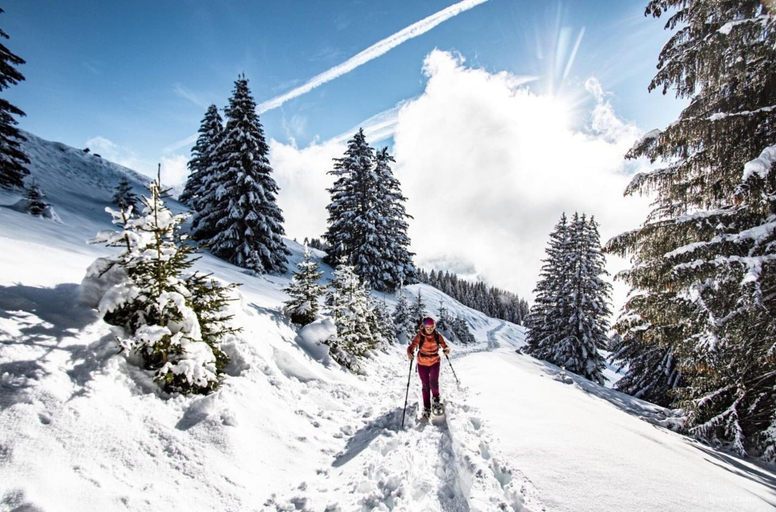 Snow and ski sports 5, Rhododendrons Rd507 Center & View 6 Pers, Haute-Savoie