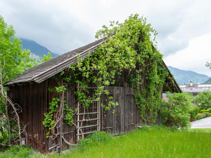 Garden 4, Moiklerhof Apartment, Schwaz