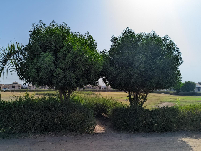 Others 4, Maa Ashapura Garden & Resort, Kachchh