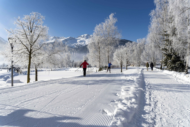 Snow and ski sports, Superior Ferienhaus # 5D mit Sauna, Zell am See