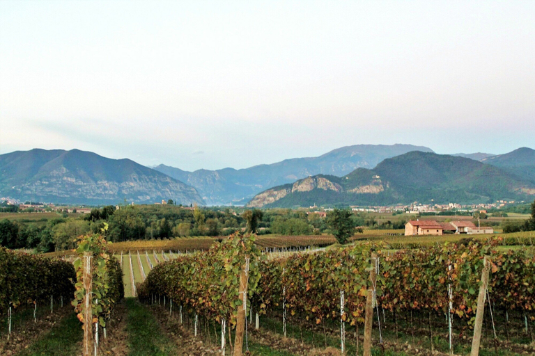 View from property 2, Apartment in Iseo With Pool, Brescia