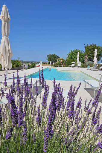 Pool 4, Manor in Marche With Pool and Adriatic Views, Ancona