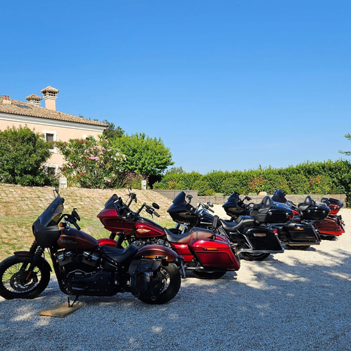 Property grounds, Manor in Marche Near Adriatic Beaches, Ancona