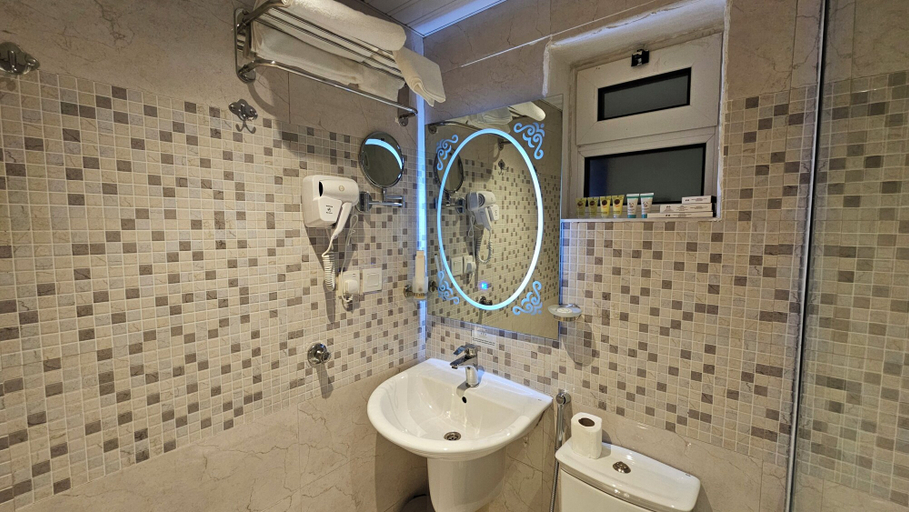 Bathroom 5, Royal al Alamiyah, Al Ahsa