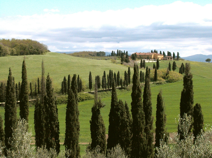 View from property 3, Apartment between Pisa and Livorno, Livorno