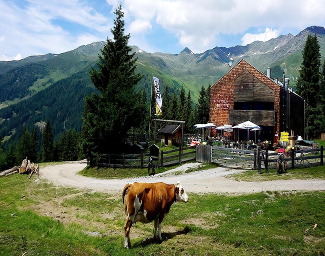 View from property 5, Apartment in Navis Near Berger Alm Ski Resort, Innsbruck Land