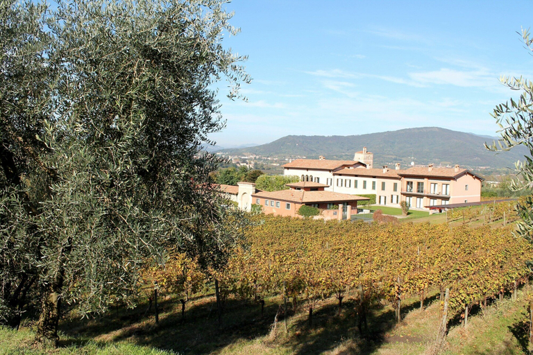Exterior 5, Apartment in Iseo With Pool, Brescia