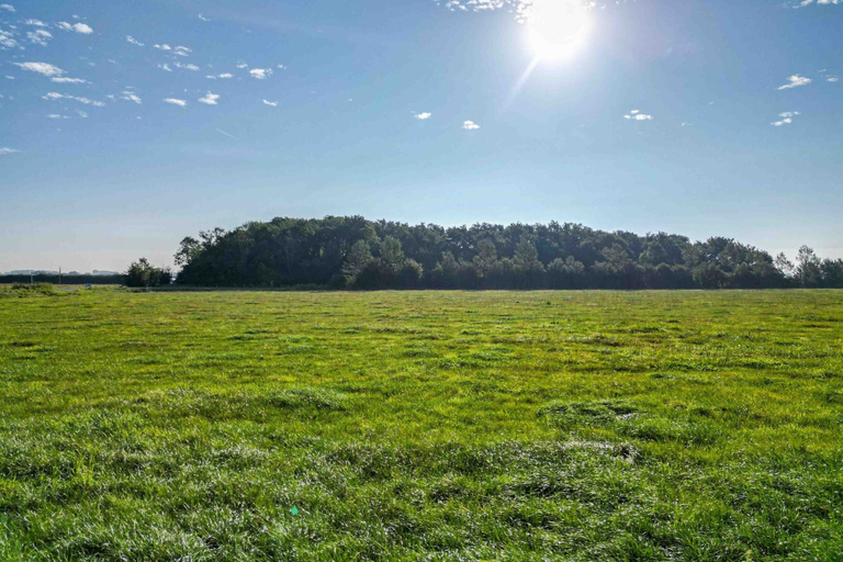View from property 5, Holiday Home in Gapinge Near Middelburg, Veere