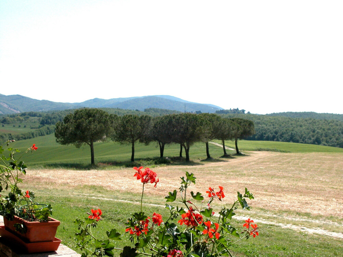 View from property 3, Apartment in Guasticce With Shared Pool, Livorno