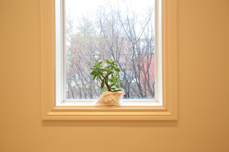 Others 5, Xiao Wang, Toronto