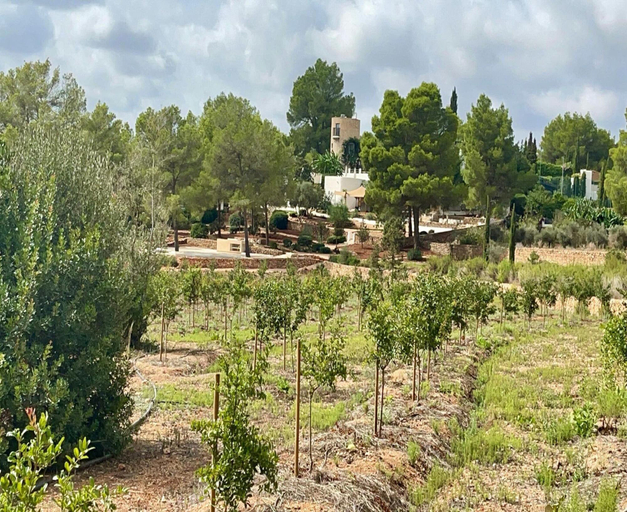 Garden 2, Holiday Home Near Scenic Farmland, Baleares
